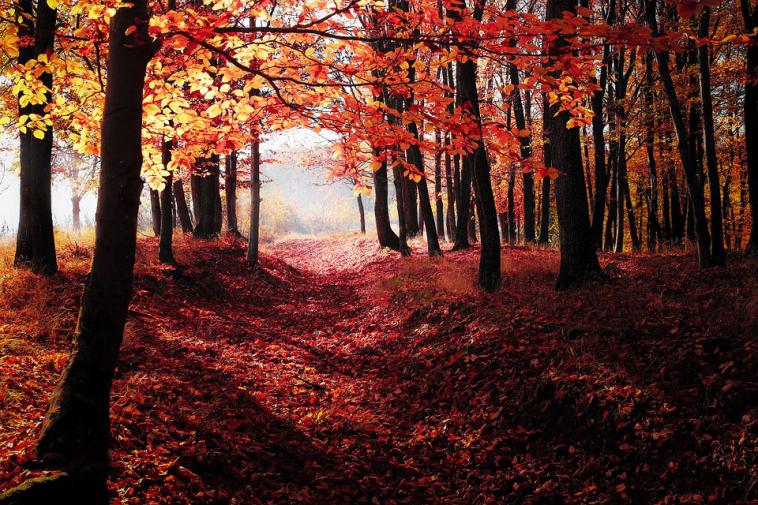 Top 5 Places For An Autumn Break On The East Coast