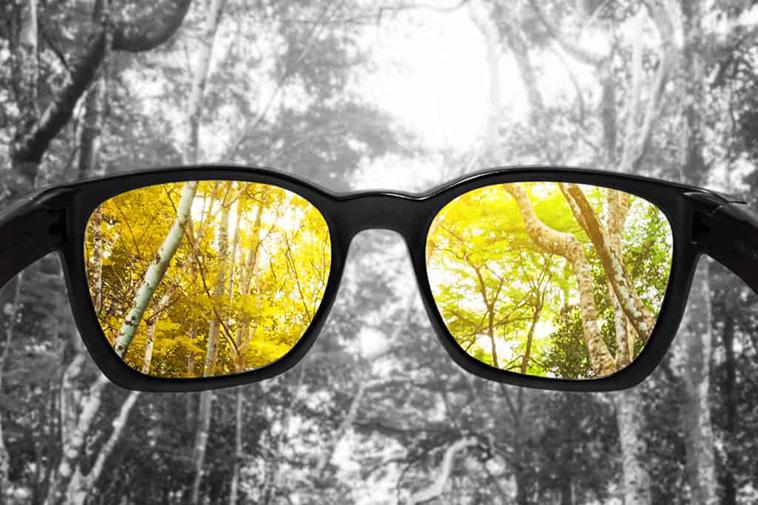 How Do Color Blind People See the World?